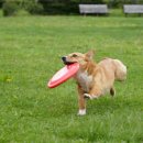 웰씨코리아 이미지