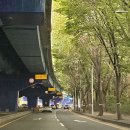 30일 대공원 고가도로 밑 이미지