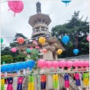 홍실포레나포스코공인중개사사무소 | 간만의 경주여행 2박3일 2일차 불국사밀면 불국사 감포naif카페