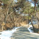 고산사 아미타불화 이미지