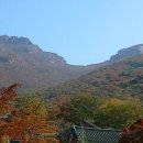 대흥사 이미지