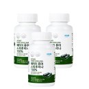 에터미 - 서구 | 에터미