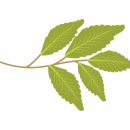 아이비부동산공인중개사사무소 이미지