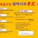 [김병윤의 축구병법] 평택서부 FC 출범, K7리그 지각변동 시작됐다 이미지