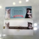 프로사진실 이미지