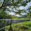 동읍스카이공인중개사사무소 이미지