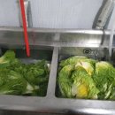 민들레양계장 이미지