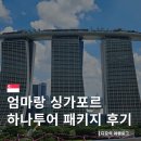 하즐 | 엄마랑 싱가포르 하나투어 패키지 여행 일정 코스 장단점 꿀팁 찐 후기