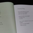 13번째고양이 이미지