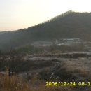 김수봉농장 Daum카페
