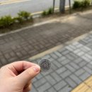 김해센텀가야셀프세차장 | 김해 가성비 레스토랑맛집 봉황동 코지하우스 최애식당