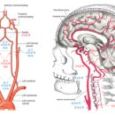 서진영신경과의원 이미지