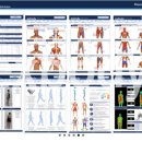엑스바디 이미지