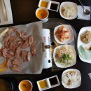 코리아덕 이미지