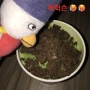 더샵뽑아방 | 행운을 빌어줘 시즌 투 !!