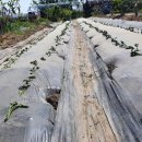 종순농장 이미지