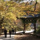 광덕산2로 이미지