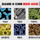 주)에코리더 이미지