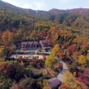 유명산자연휴양림 이미지
