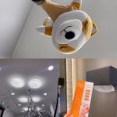 네오의원 | 익산 피부과 바로그의원에서 네오빔레이저 피지억제레이저 받은 후기