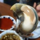 원종동 맛집] 싱싱함이 춤춘다! &#34;전복파는청년&#34;에서 즐긴 푸짐한 전복조개찜 후기