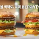 예스광고 이미지