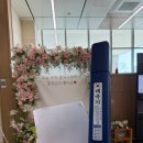 제이디풀빌라(J.D풀빌라) | 임신 중기 증상과 변화 기록 | 13주차부터 27주차까지, 달라진 몸과 도담이의 성장