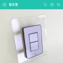 참조명