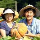 참샘골목장 | 참샘골 호박농원 최근명 대표 “4전 5기 인생역전.매일일보 보도기사