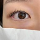 사직역 3번 출구 환기구 옆 | 사직동 눈채 속눈썹펌 후기｜임산부도 OK, 저자극으로 또렷한 눈매 완성!