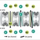 이온메디칼 이미지