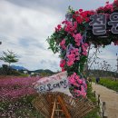 철원군청소년회관 | 철원 핫플 고석정꽃축제 입장료 주차장 꿀팁 방문후기