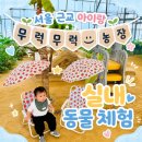 새마을농장 | 아이랑 가기 좋은 서울 근교 실내 동물농장, 용인 무럭무럭 농장 방문 후기
