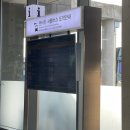 ㈜땡큐제주렌트카 | 제주도 렌터카 마이리얼트립 (땡큐제주렌트카) 제주도 렌트카업체 어느 곳을 해야 잘했다고 소문이 날까?