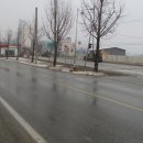 개군농협주유소 이미지