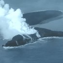 새(화산)2 이미지