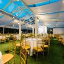 더그레이스켈리 이미지