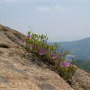 매산 이미지