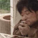 동대문 루시드 동물메디컬센터 이미지