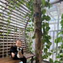 버드들 | 오산버드파크 입장료·주차·후기 총정리 돌아기 실내 나들이 추천