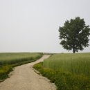 미동목장 이미지