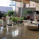 사직뉴욕치과의원 이미지