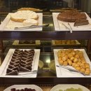 6277 | 대구 북구 침산동 스시 맛집 쿠우쿠우 대구북구점 솔직후기