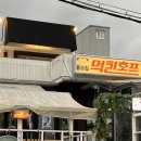 대전 괴정동 롯백 근처 야장st 시원한 테라스에서 즐기는 옛날치킨 후기 [먹킨호프]