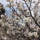 신암공원 이미지