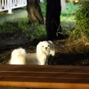 제니펫하우스 이미지