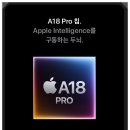 진Pro