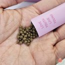 미인약국 | 다이어트 약 추천: 진짜 효과 있는 약은 무엇일까?