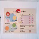 모찌쇼룸 이미지