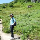 배낭여행 이미지